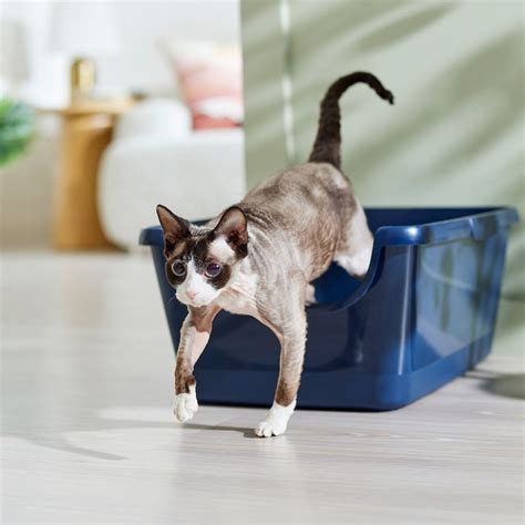 frisco stainless steel cat litter box|best high sided litter box.